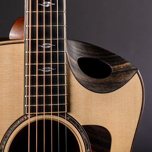 1596528725521757.jpg TAYLOR-BE-FEATURE-SOUNDPORT-BE-816CE.jpg
