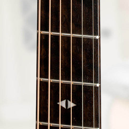 Eucalyptus Fretboard.jpg