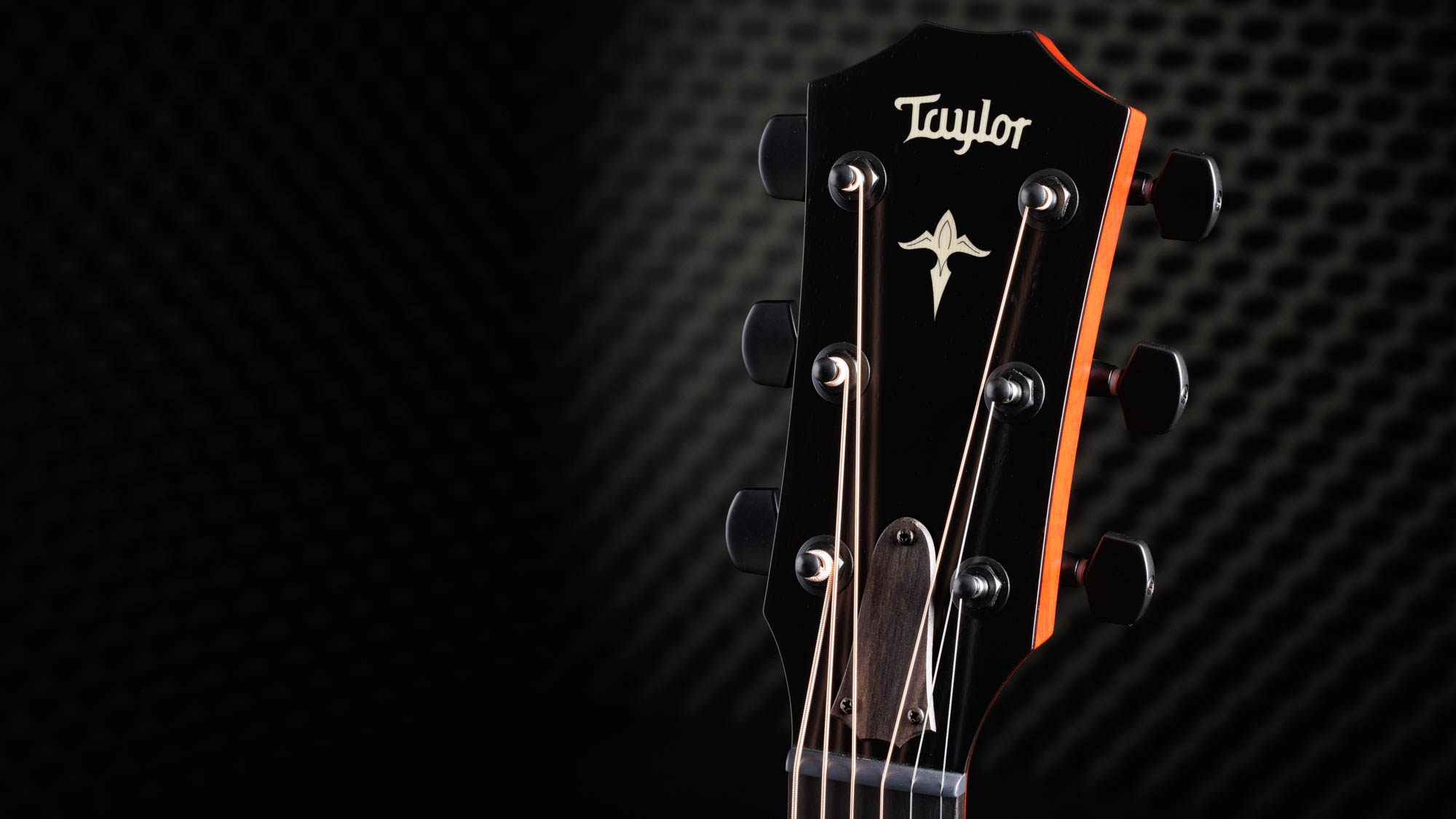 Taylor-C14ce-B3041-1202163144-gallery-08-2023[1].webp