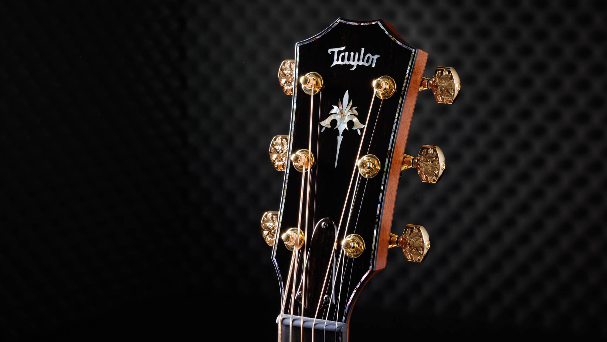 Taylor-C14ce-B3029-1202033143-gallery-08-2023[1].webp