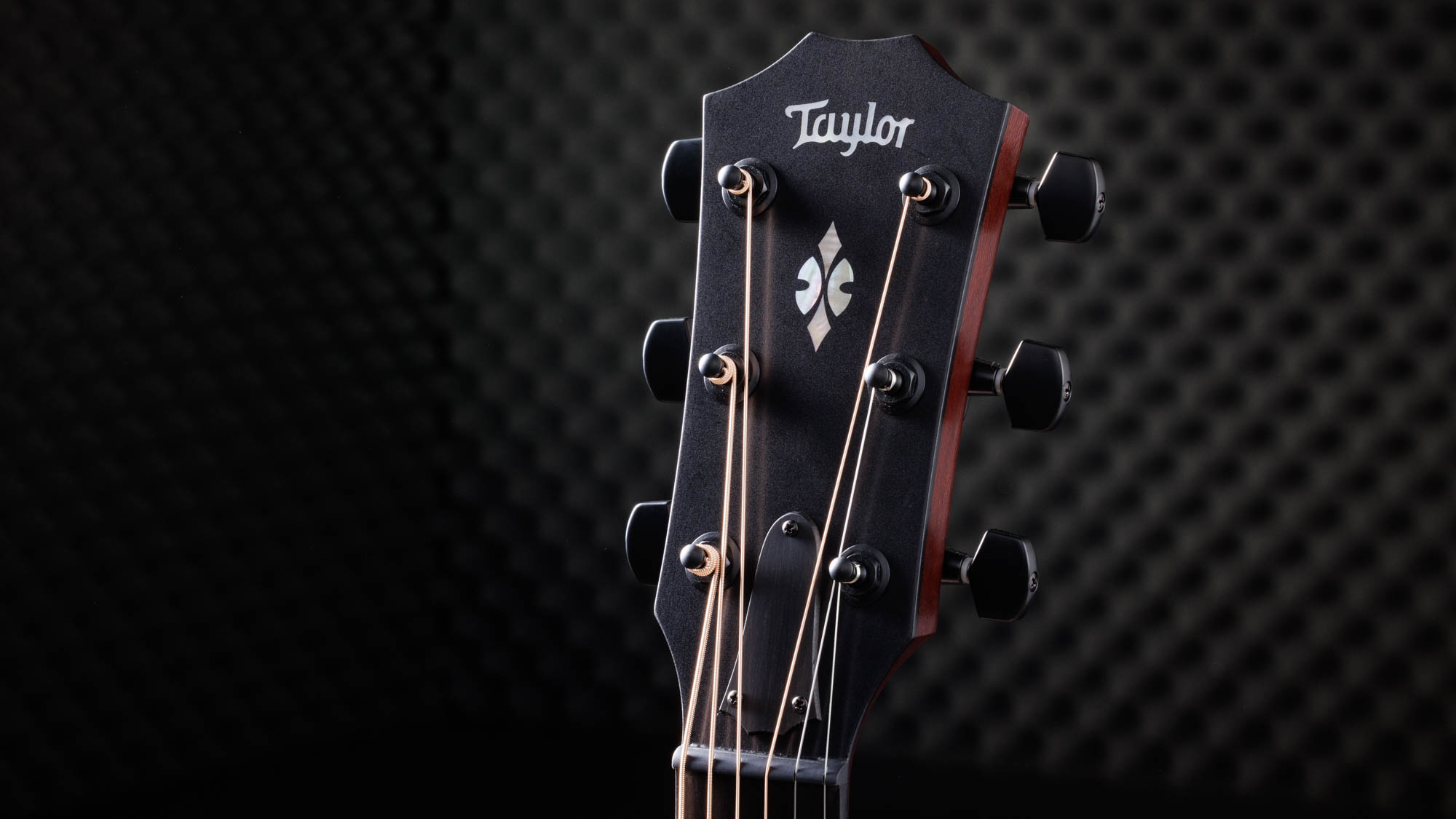 Taylor-C22ce-12-Fret-B3031-1202033145-gallery-08-2023[1].webp