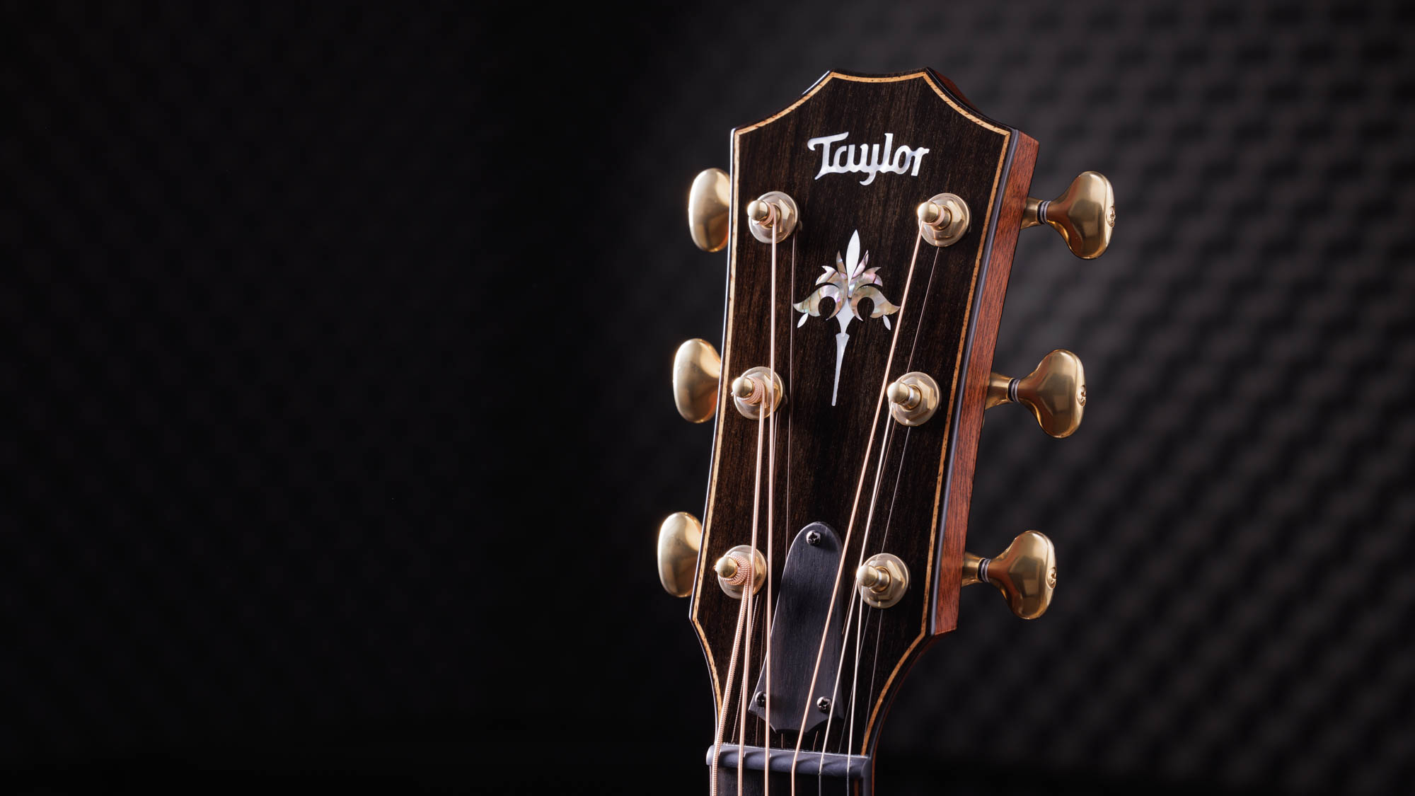 Taylor-C14ce-B3020-212122150-gallery-08-2023-1[1].webp