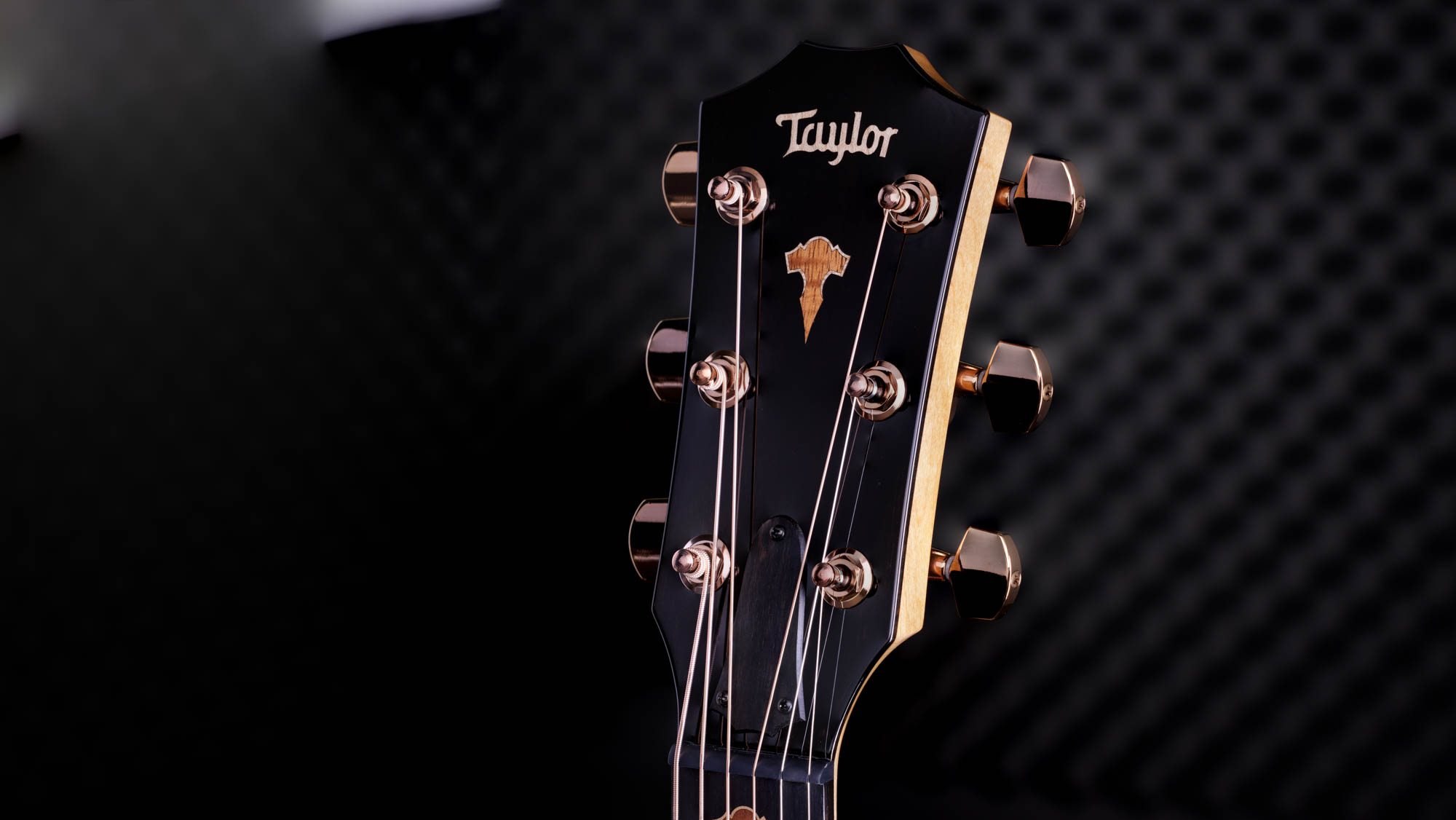 Taylor-C16ce-B3017-1202133024-gallery-08-2023[1].webp