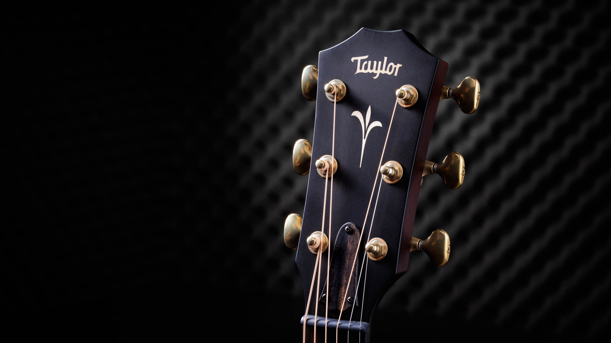 Taylor-C12ce-12-Fret-B3013-1202223129-gallery-08-2023[1].webp