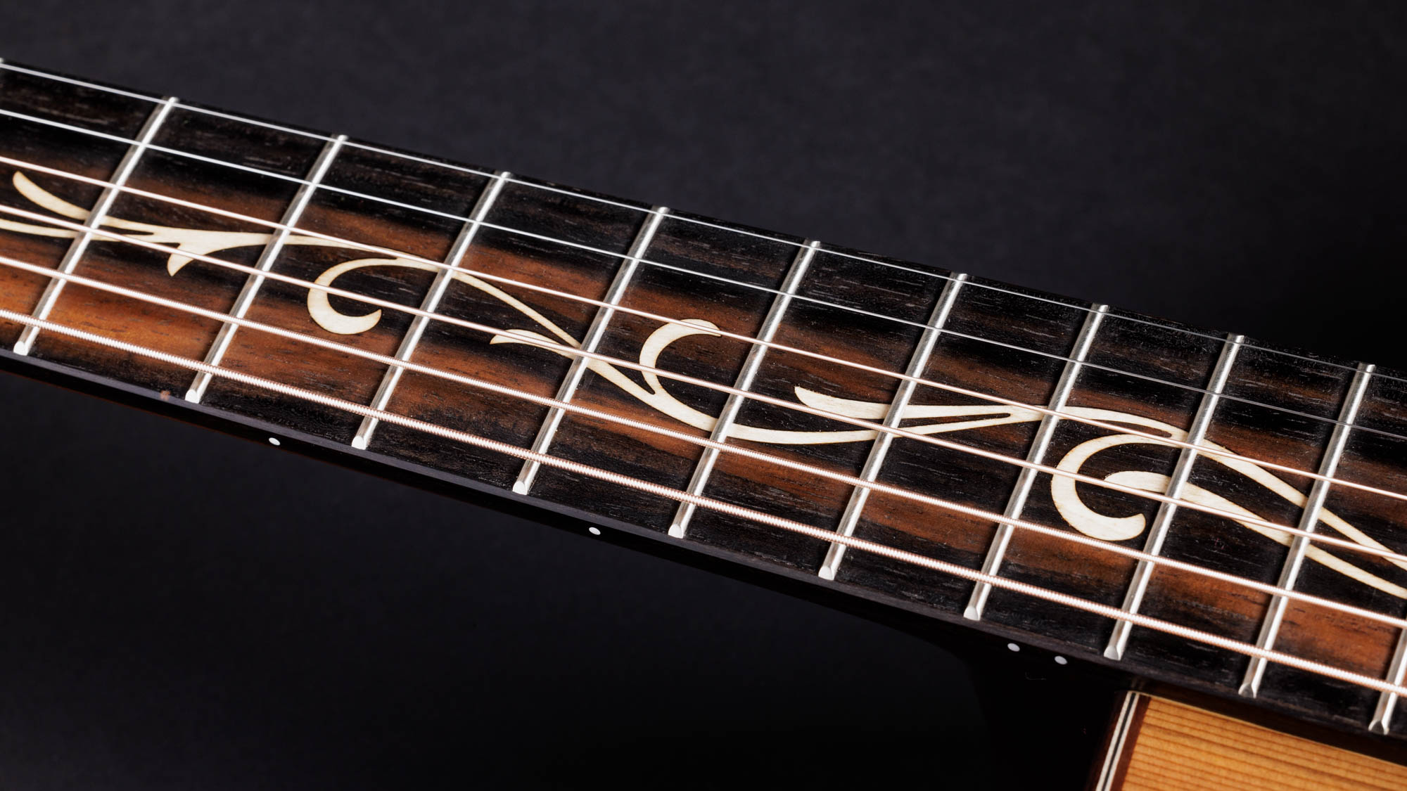 Taylor-C12ce-12-Fret-B3013-1202223129-gallery-10-2023[1].webp