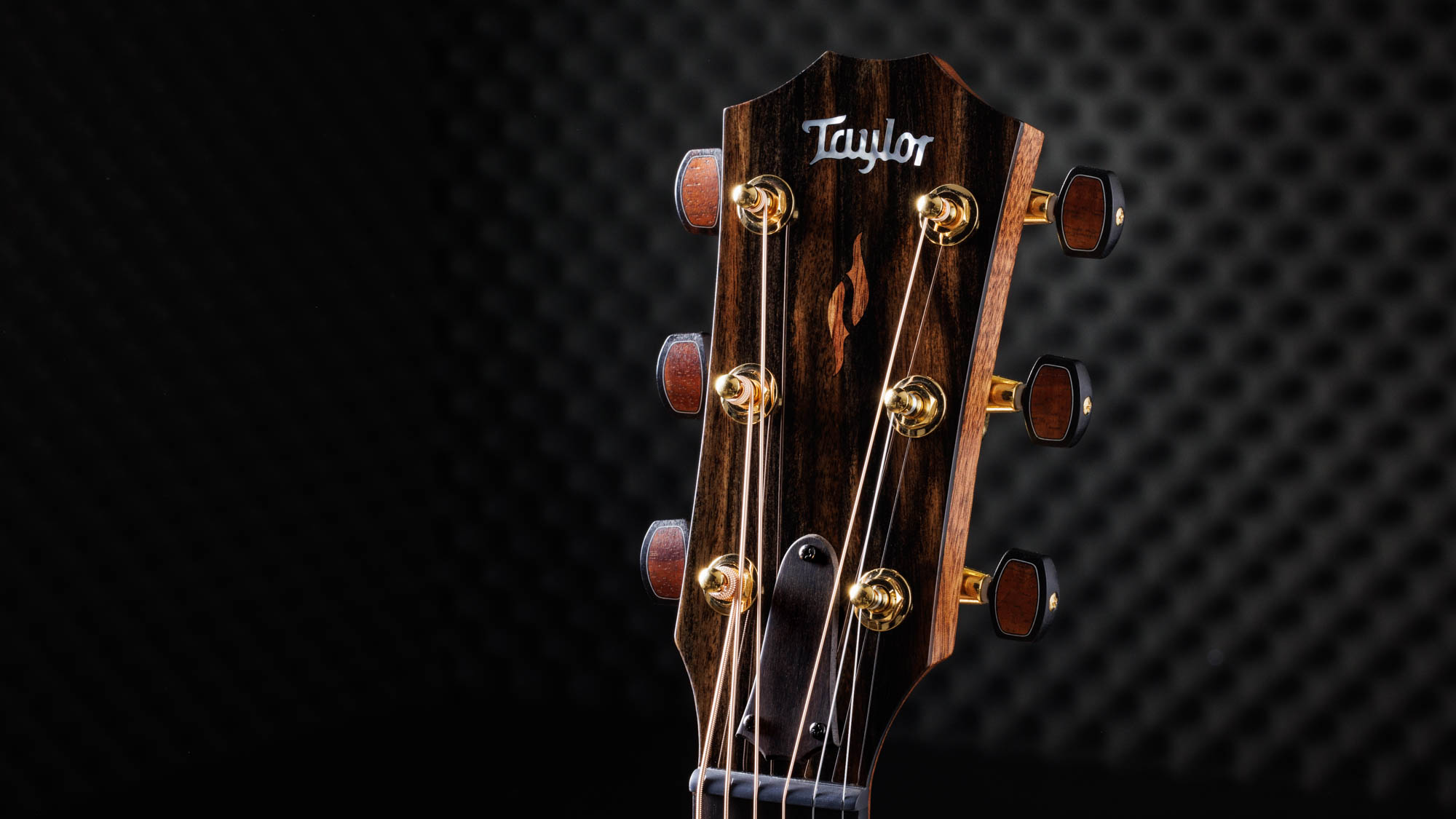 Taylor-C14ce-B3002-1202133022-gallery-08-2023[1].webp