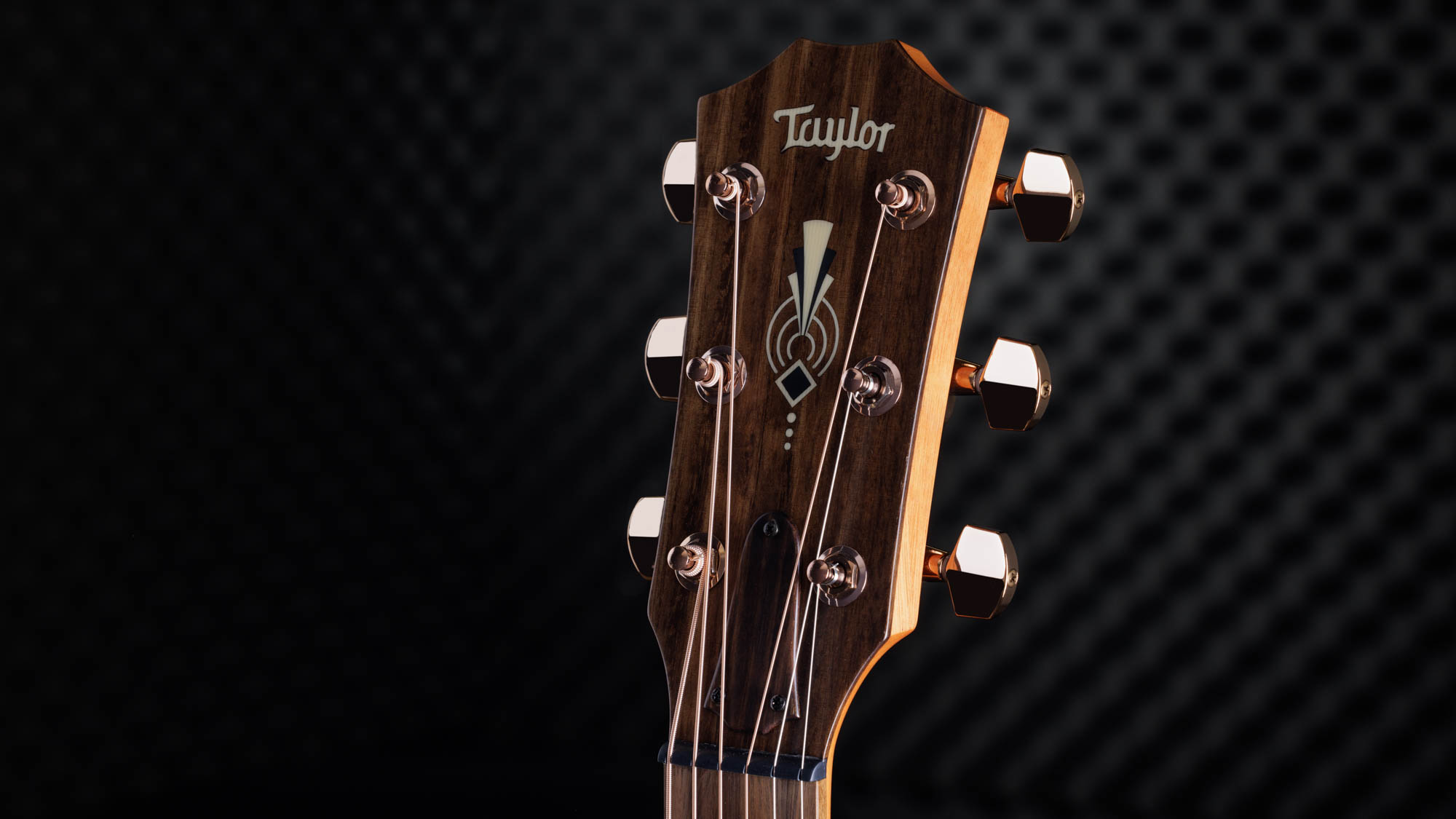 Taylor-C22ce-B3027-1202133023-gallery-08-2023[1].webp